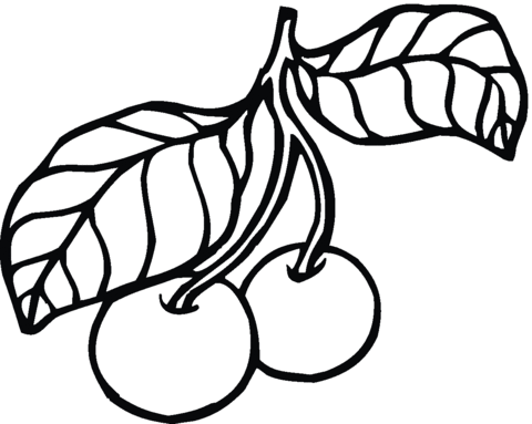 Two Cherries On Stem With Leaves Coloring Page